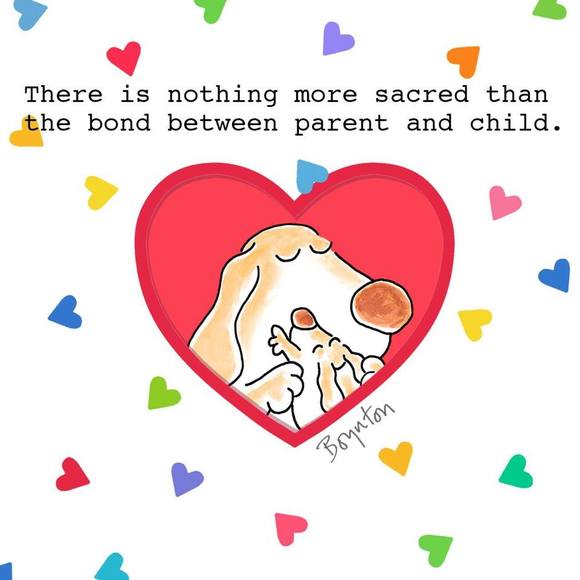 Meet your Posher, Katie - Picture 1 of 1